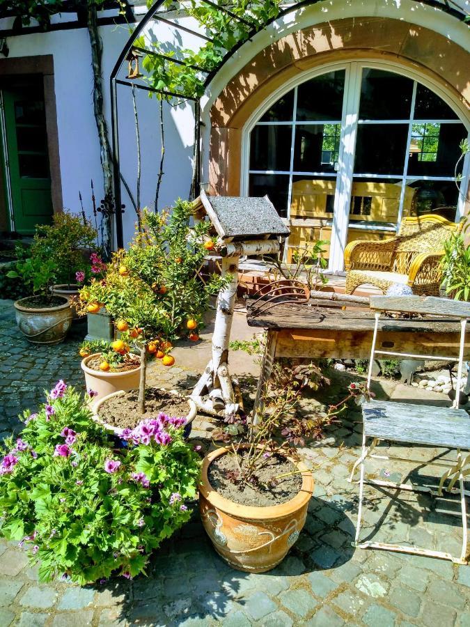 Willkommen In Unserem Kleinen Paradies Venningen 외부 사진