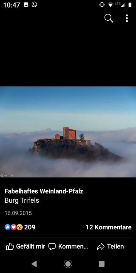 Willkommen In Unserem Kleinen Paradies Venningen 외부 사진
