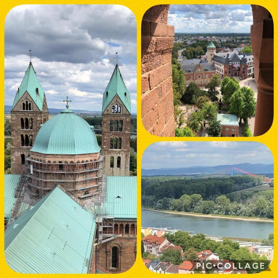 Willkommen In Unserem Kleinen Paradies Venningen 외부 사진